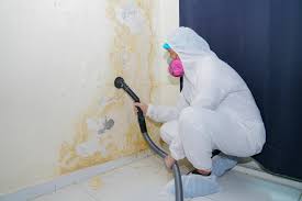 Best Comprehensive Air Testing for Mold Contaminants  in Greendale, WI